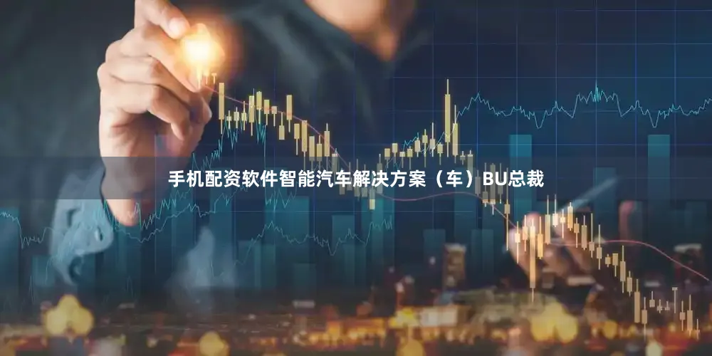 手机配资软件智能汽车解决方案（车）BU总裁
