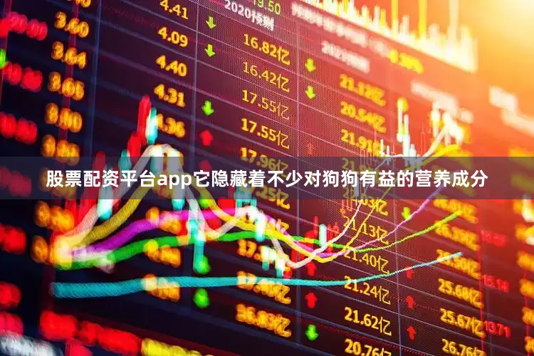 股票配资平台app它隐藏着不少对狗狗有益的营养成分