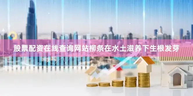 股票配资在线查询网站柳条在水土滋养下生根发芽
